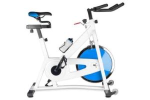 spinngin